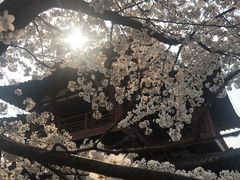 -西安青龙寺遗址景区