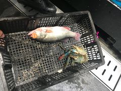 -盒马鲜生(皇庭广场店)