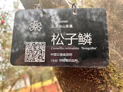 -昆明植物园