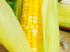 -光明刘冰乳鸽店(光明法政北路店)