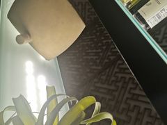 -Dragonfly 悠庭·按摩Spa(苏州中心广场店)