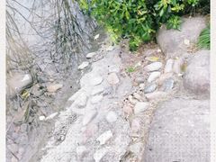 -苏州河梦清园环保主题公园