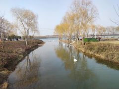 -北龙湖湿地公园