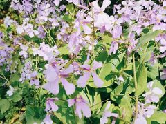 -狼山风景名胜区