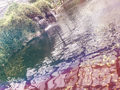 -晶宝温泉农庄