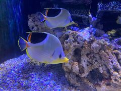 -成都浩海立方海洋公园