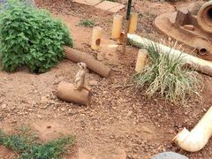 -昆明动物园
