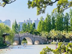 -江心屿景区