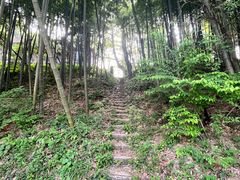 -莫干山风景区