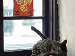 -山城巷传统风貌区