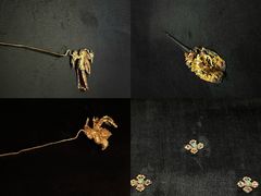 -长沙简牍博物馆