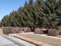 -长春公园(普阳街道)