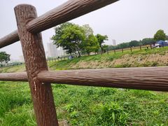 -山明水秀大饭店
