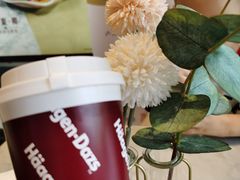 -哈根达斯(深圳海岸城店)