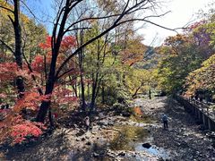 -关门山森林公园