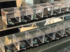 -房山世界地质公园博物馆