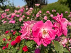 -上海交通大学(闵行校区)