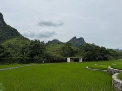 -明仕田园