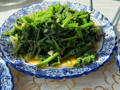 南瓜藤-北海聚友阁  腾冲北海湿地