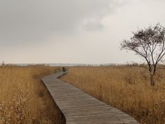 -野鸭湖国家湿地公园