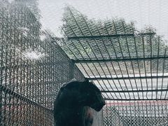 -深圳野生动物园