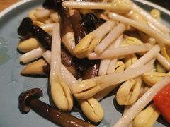 花生芽炒鸡枞菌-水木苼 蔬食料理