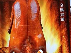 -顺轩海鲜火锅酒家