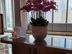 -花城苑广府菜(侨鑫店)