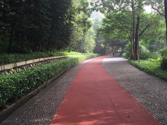 -狐尾山公园