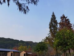 -苏州上方山国家森林公园