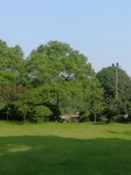 -长沙小顽国景区