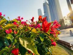 -星巴克(珠海仁恒滨海中心店)