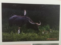-扬州科技馆