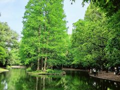 -上海共青森林公园