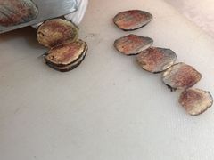 -芸山季·云南山珍菌火锅(人民广场来福士店)