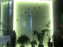 -蕉棠·鸽子餐厅(柳州万象城店)