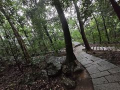 -九曜山