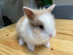 -小意思咖啡店(草桥店)