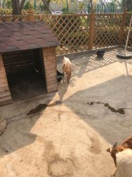 -萌宠亲子动物乐园(槐房万达店)