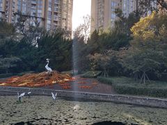 -中山公园
