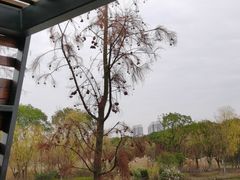 -昆山城市生态森林公园