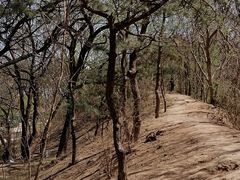 -元大都城垣遗址公园