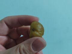 -秋栗香(地安门店)