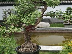 -西宁市人民公园(城西区)