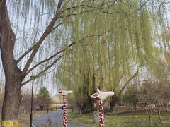 -莲花池公园
