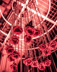 -天泰一站式婚宴·宴会厅