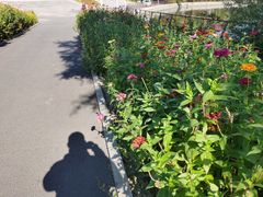 -长春公园(普阳街道)