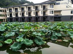 -明月山天沐温泉度假村