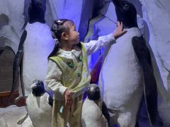 -太平洋海底世界