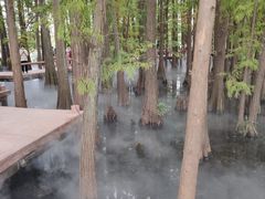 -东湖落雁景区